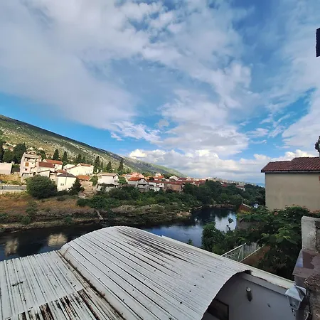 Apartament And Zed *