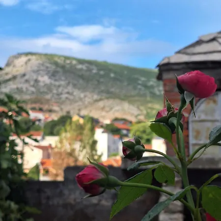 Lejlighed And Zed Mostar
