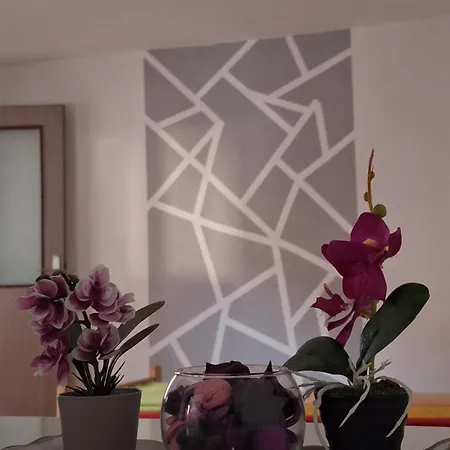 Apartament And Zed *